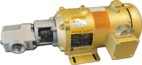 Photo Jan 29 2025, 7 39 29 PM (1)