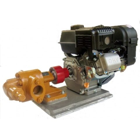 Gas powered fuel and oil pump